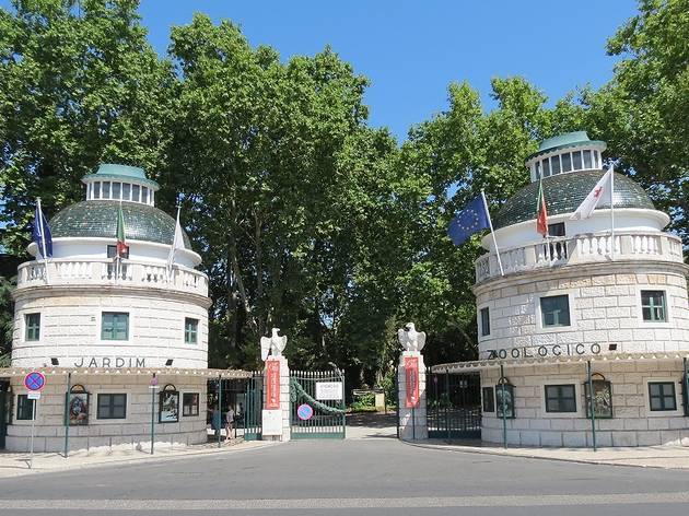 Zoo de Lisboa reabre ao público esta semana com novas regras Zoo de Lisboa reabre ao público esta semana com novas regras