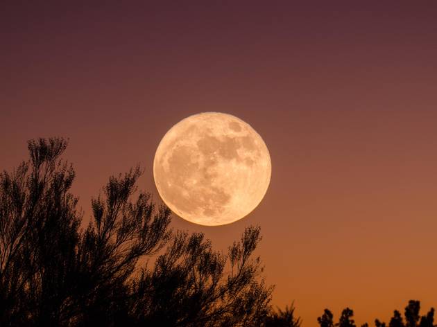 La dernière super-Lune de l’année va trôner dans le ciel ce soir Super-Lune