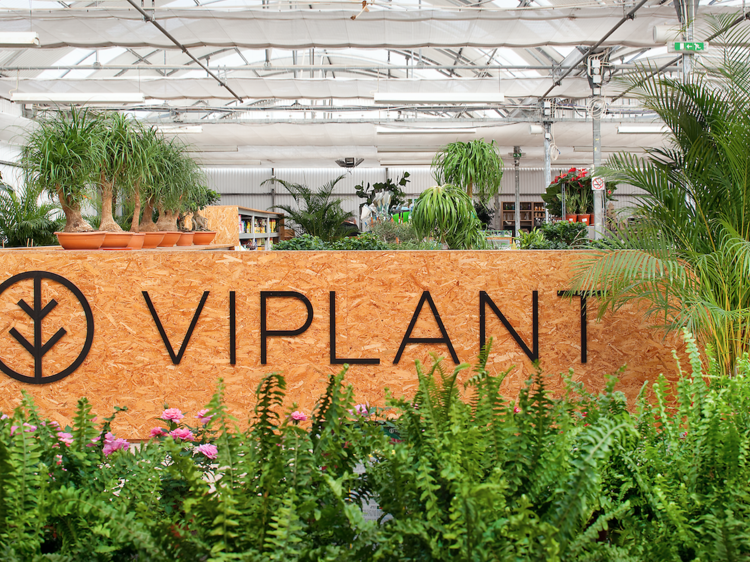 Viplant