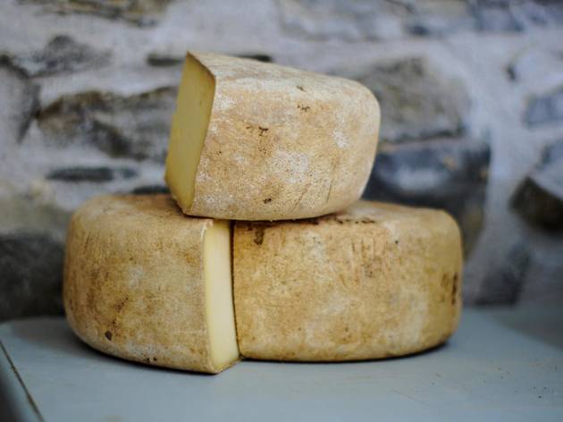 British Cheese Weekender cheese
