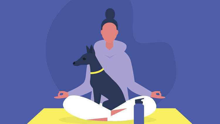 Ilustración de una mujer haciendo yoga con su perro