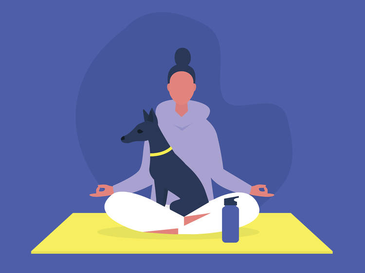 Ilustración de una mujer haciendo yoga con su perro