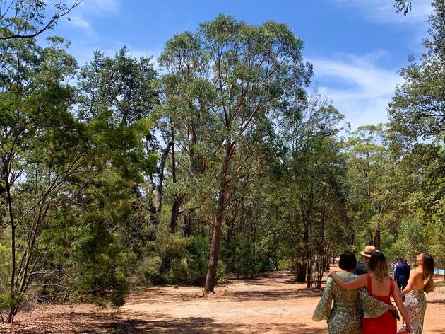 Kangaroo valley People walking in the bush