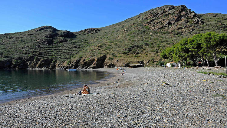 Cala Jóncols