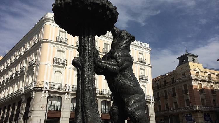 The Bear and the Strawberry Tree, Madrid