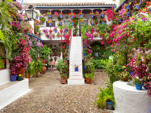 Patios de Córdoba Patios de Córdoba visitas virtuales