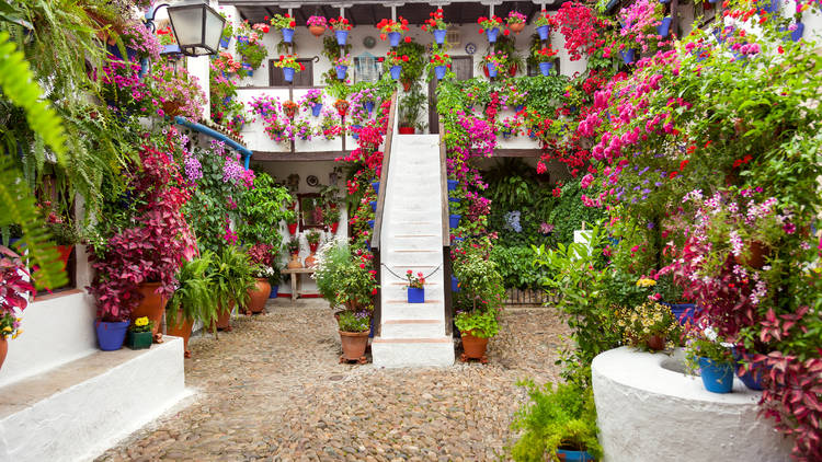 Patios de Córdoba visitas virtuales