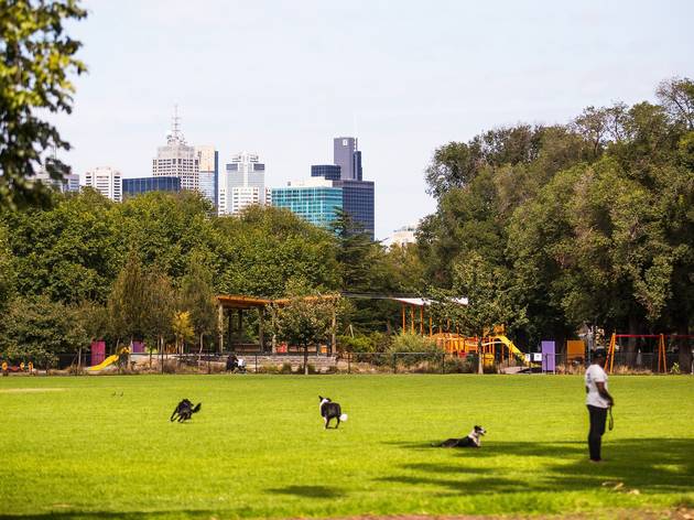 A clearing at Edinburgh Gardens in which four dogs are running around. There is a playground in the background