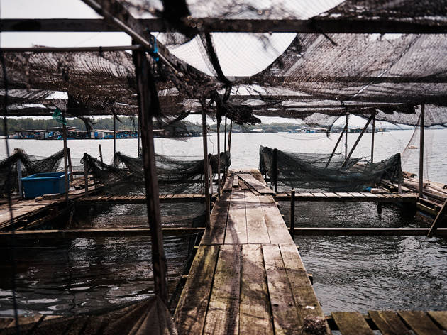 Laut Laut