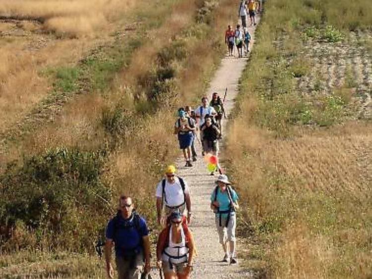 El Camino del Norte, la cara més desconeguda del Camino de Santiago El Camino del Norte, la cara més desconeguda del Camino de Santiago