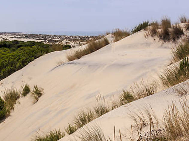 Dunas de Doñana Dunas de Doñana