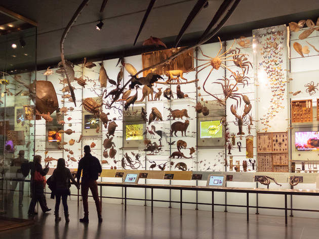 Visit your favorite kids' museums in NYC right from home Visit your favorite kids' museums in NYC right from home