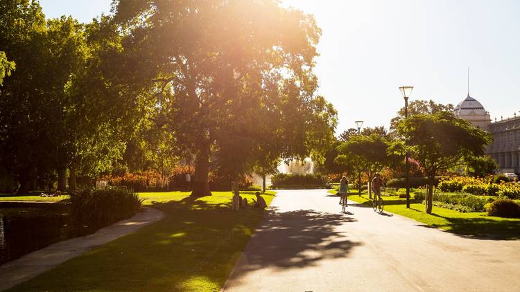 Birds and trees to spot on your next walk around Melbourne