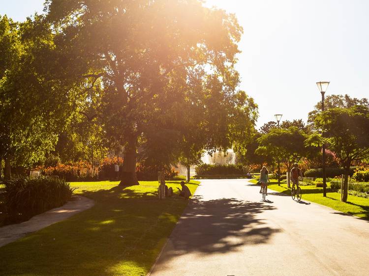 Birds and trees to spot on your next walk around Melbourne