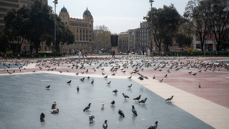 Barcelona, plaça Catalunya