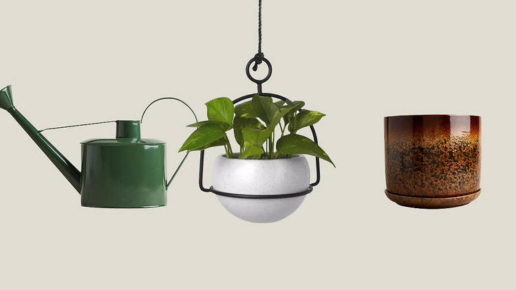 Plant accessories