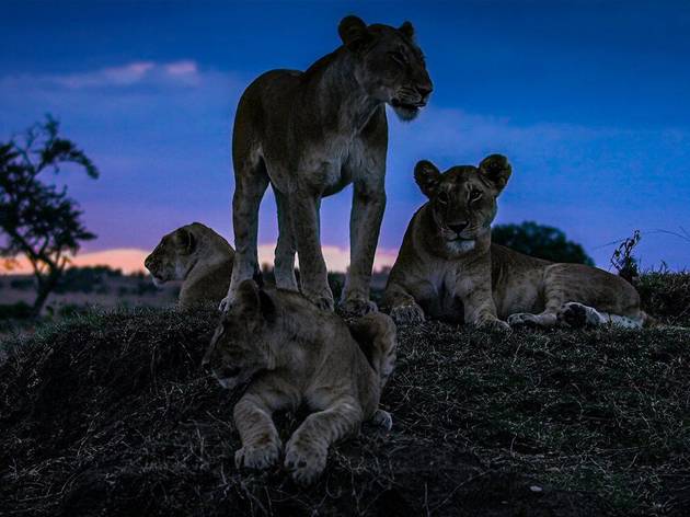 La tierra de noche La tierra de noche