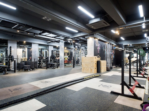 Ursus Fitness Ursus lifting area