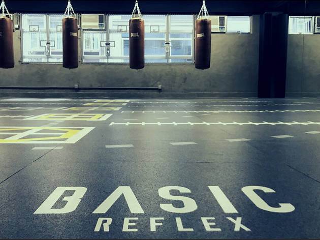 Basic Reflex Basic Reflex gym