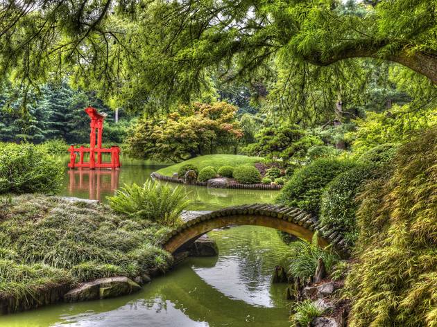 The Brooklyn Botanic Garden announces it’s aiming to reopen in July