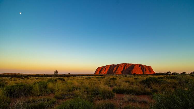 Learn about Aboriginal culture down under