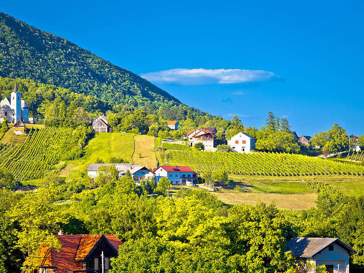 VIDEO: The little-known winemakers of beautiful Zagreb County