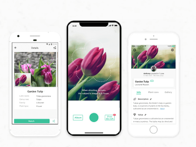 App Picture This App Picture This