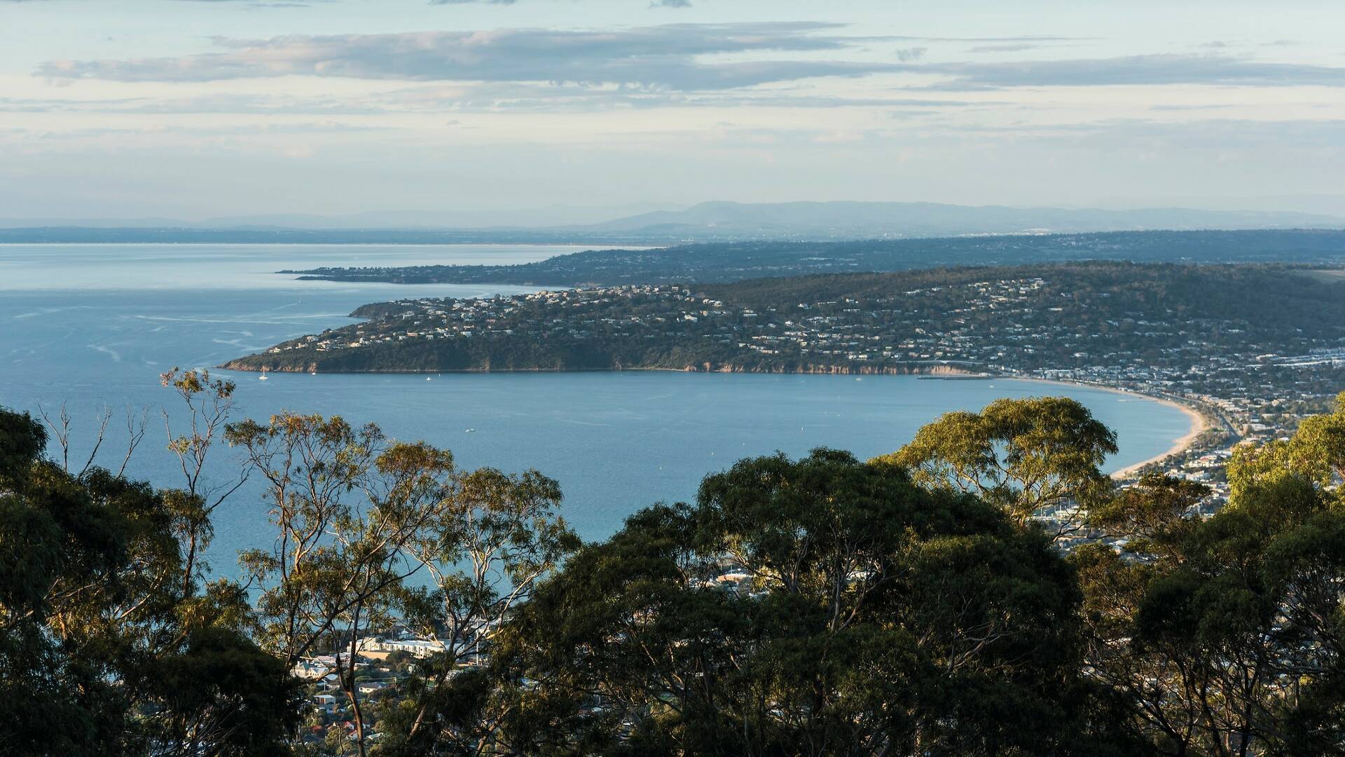 The 8 best scenic drives in Victoria | Best drives near Melbourne