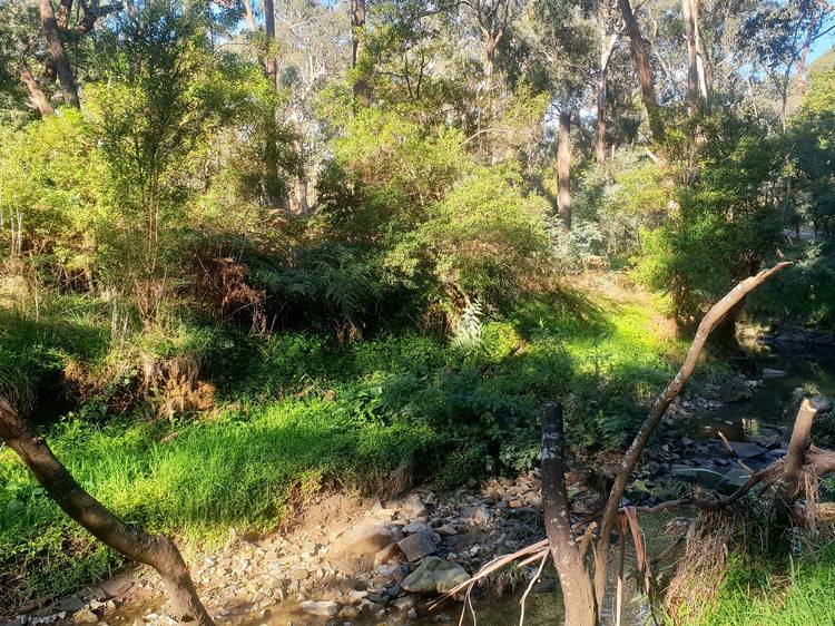 Yarran Dheran Nature Reserve