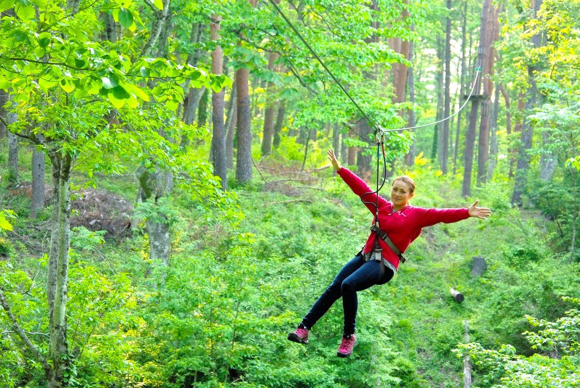 Jump Forest герои. Adventure Parks in Forest. Forest Adventure. Adventure forest