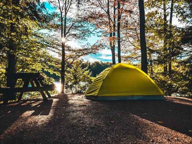 You can now reserve campsites in New York for all of 2021 camping