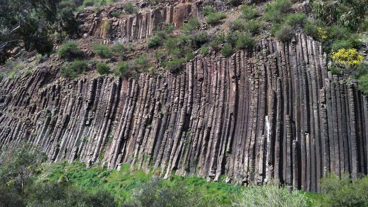 Organ Pipes National Park 