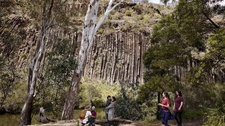 Walk along Jacksons creek, Organ Pipes National Park