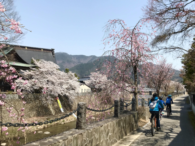 山田拓