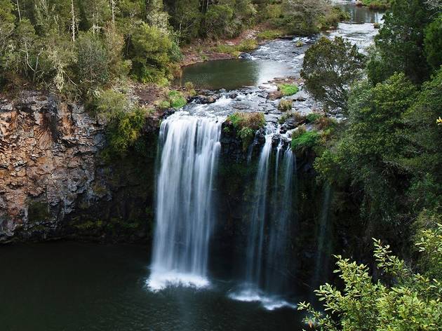 Dangar Falls Waterfall