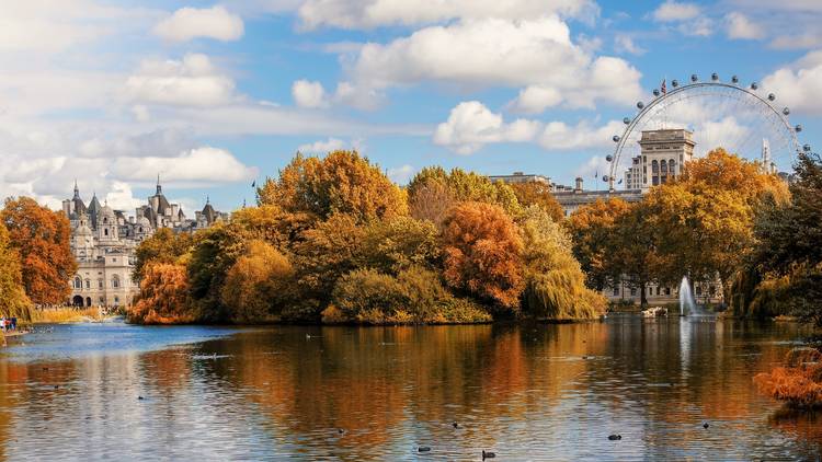 St James Park in October