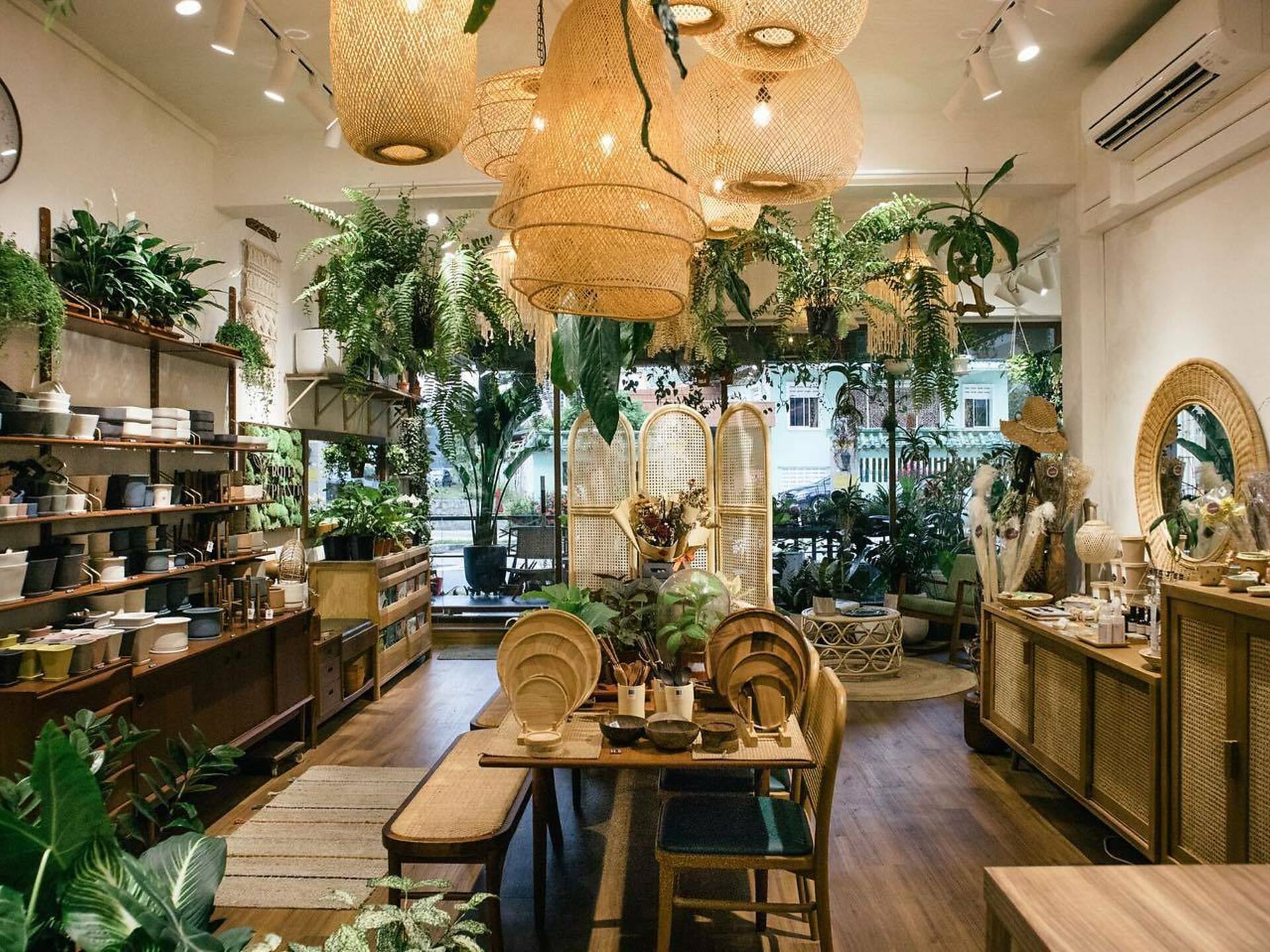 15 Best Plant Shops in Singapore For Starting Your Indoor Garden