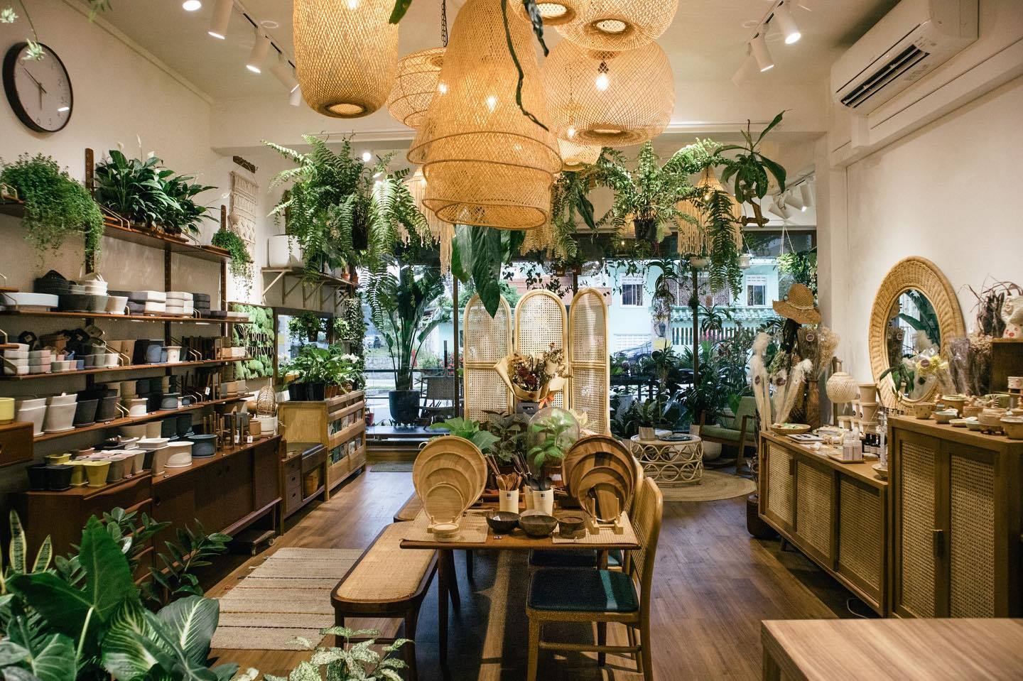 15 Best Plant Shops in Singapore For Starting Your Indoor Garden