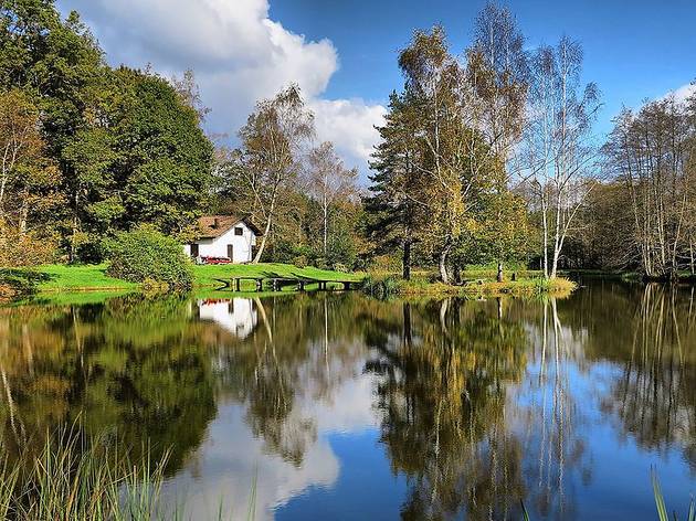 Mille Etangs Mille Etangs