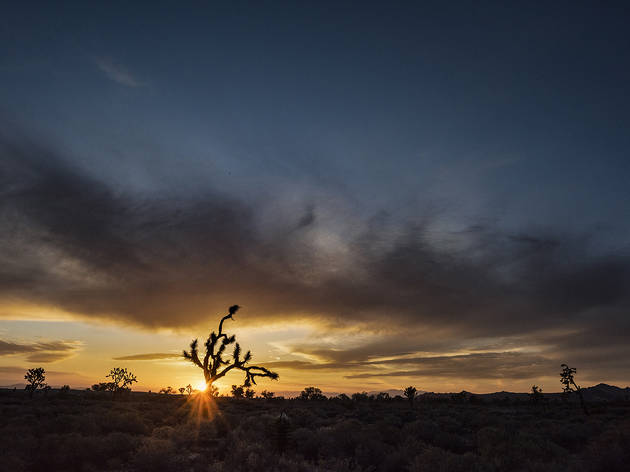 Amanecer de Emmanuel Lubezki Paisaje de un amanecer en el desierto de México