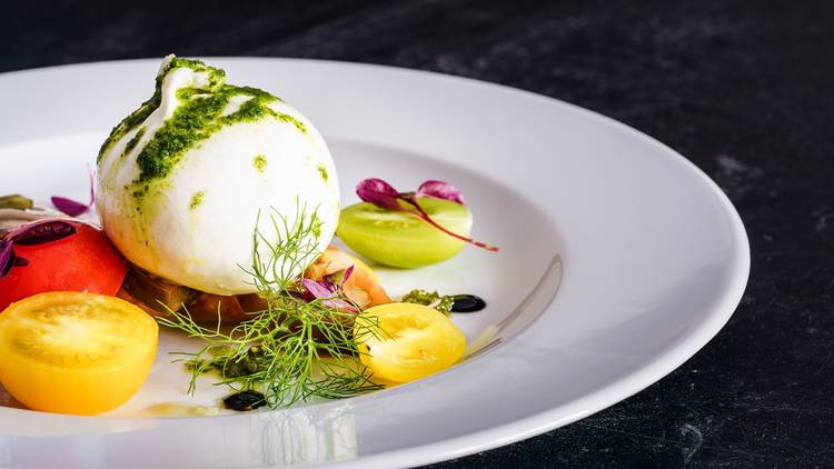 A beautifully plated burrata cheese.