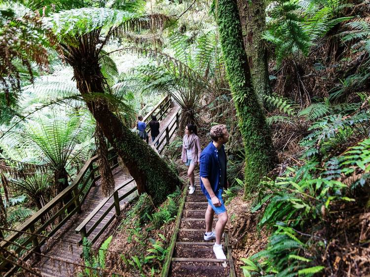 Incredible national parks to visit in Victoria