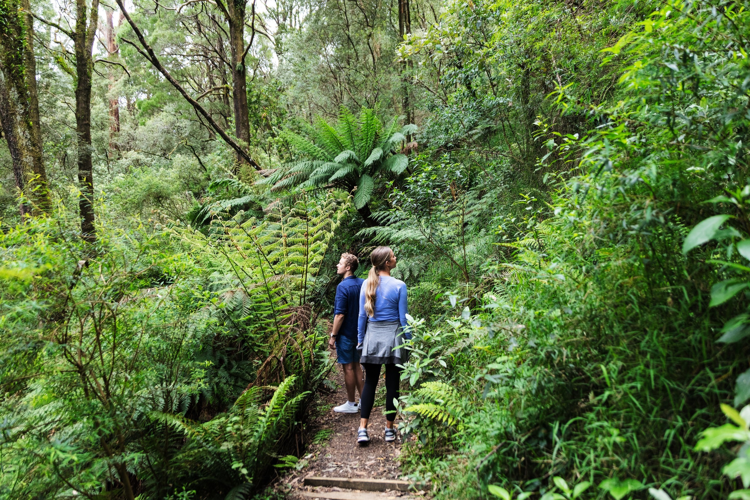 10 National Parks In Victoria To Visit At Least Once In Your Life