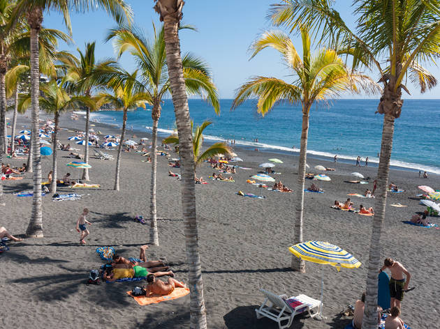 Descubre en qué playa exótica deberías estar Descubre en qué playa exótica deberías estar