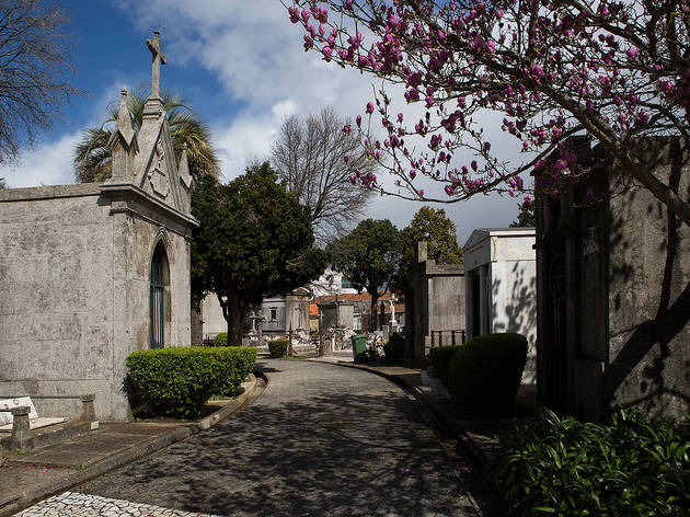 Cemitério de Agramonte Cemitério de Agramonte