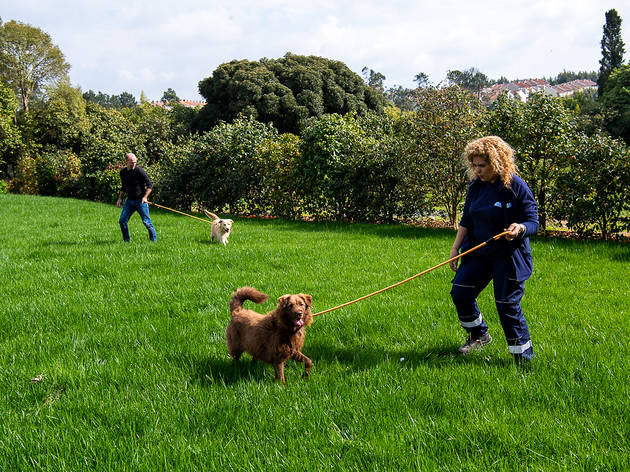 Centro de Recolha de Animais Centro de Recolha de Animais