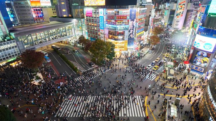 Shibuya Crossing