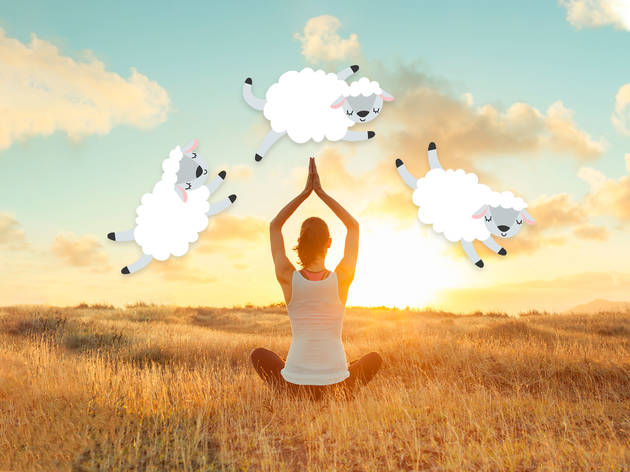You can now do a Zoom guided meditation with an actual sheep Sheep meditation