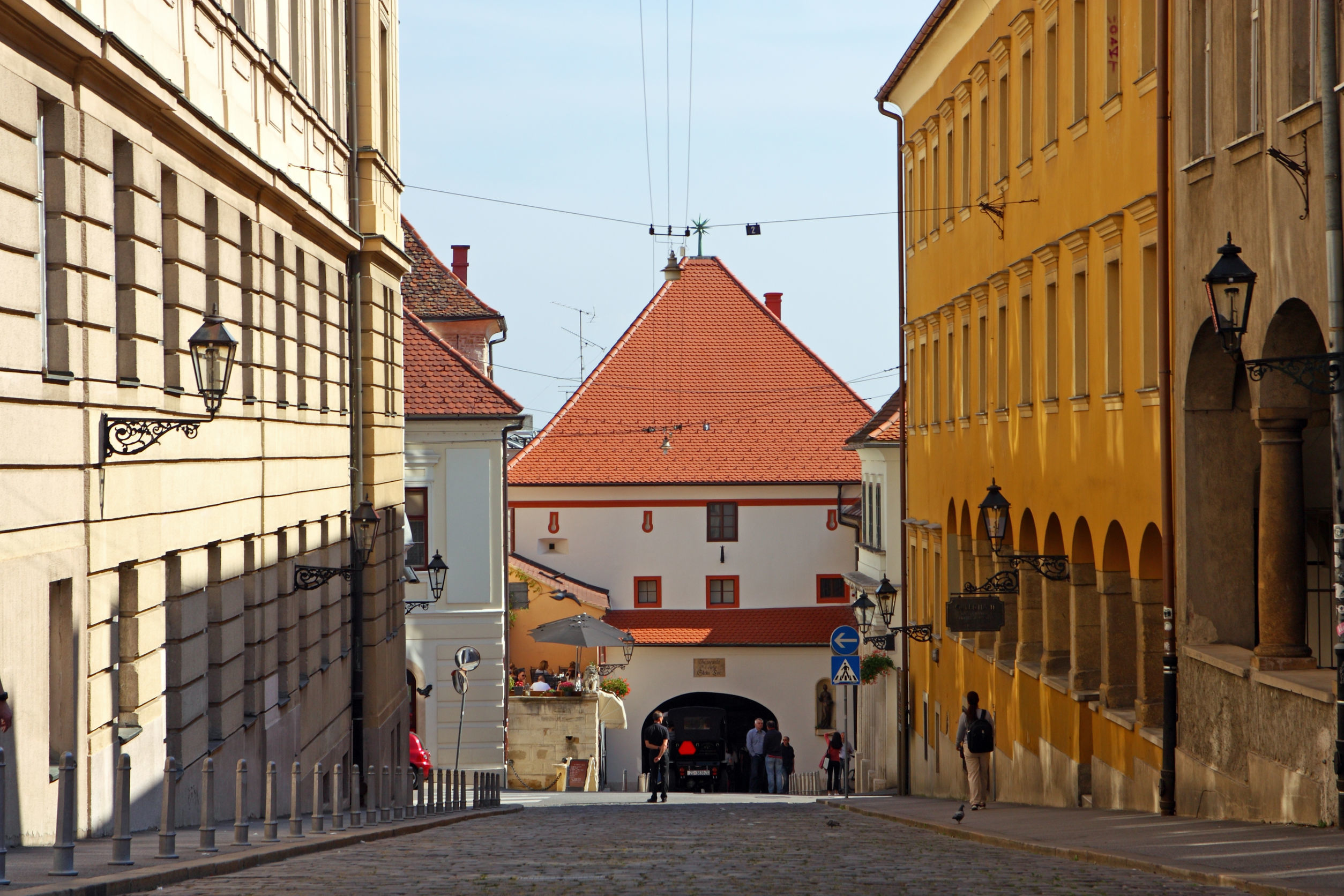 Zagreb always the city of scientists and health professionals