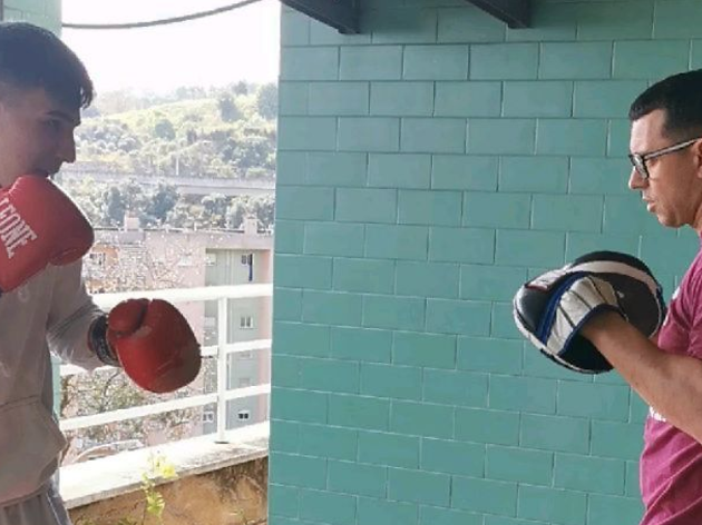 bARATA BOXE Barata Boxe